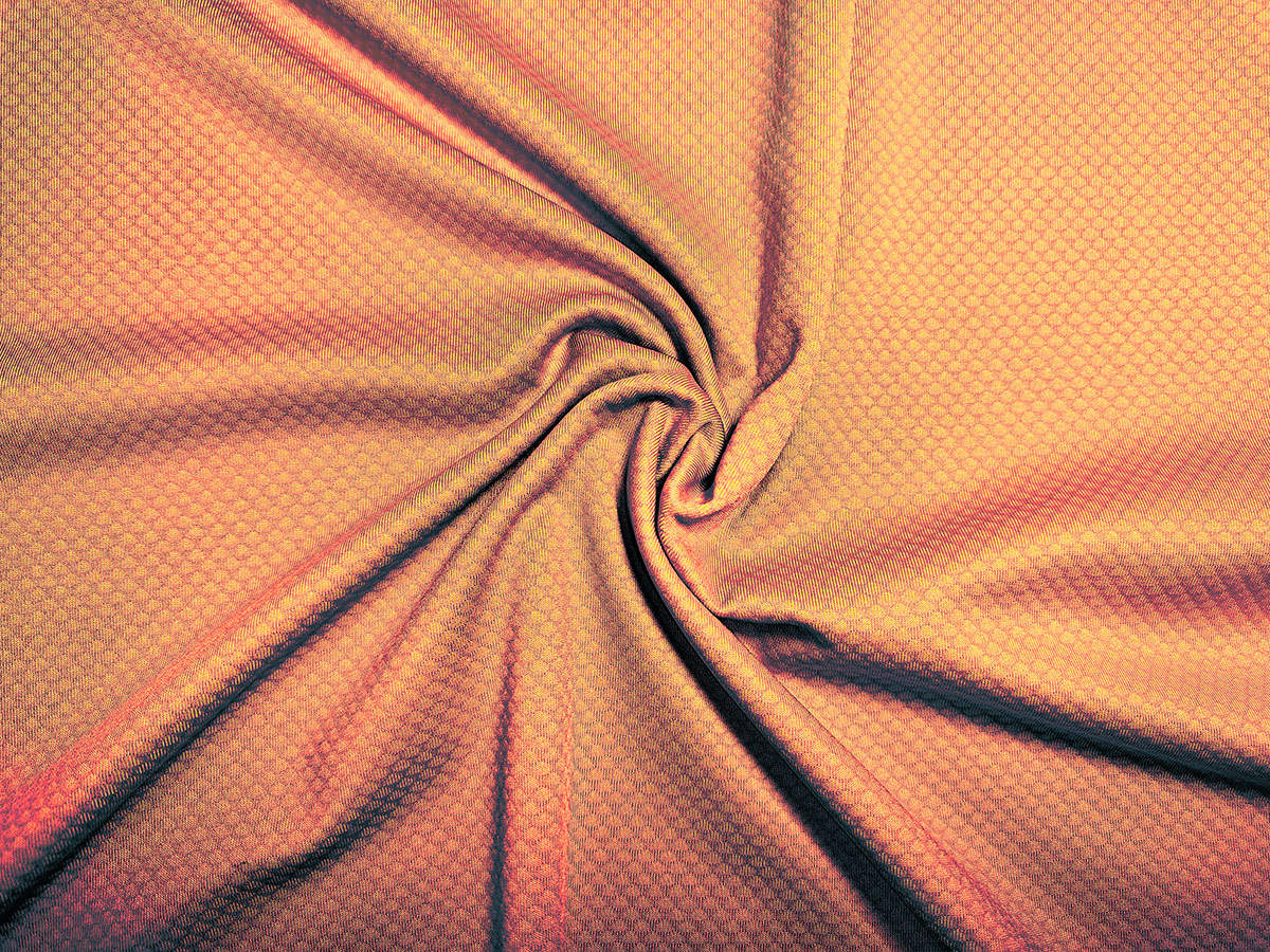 滌陽氨綸小提花 